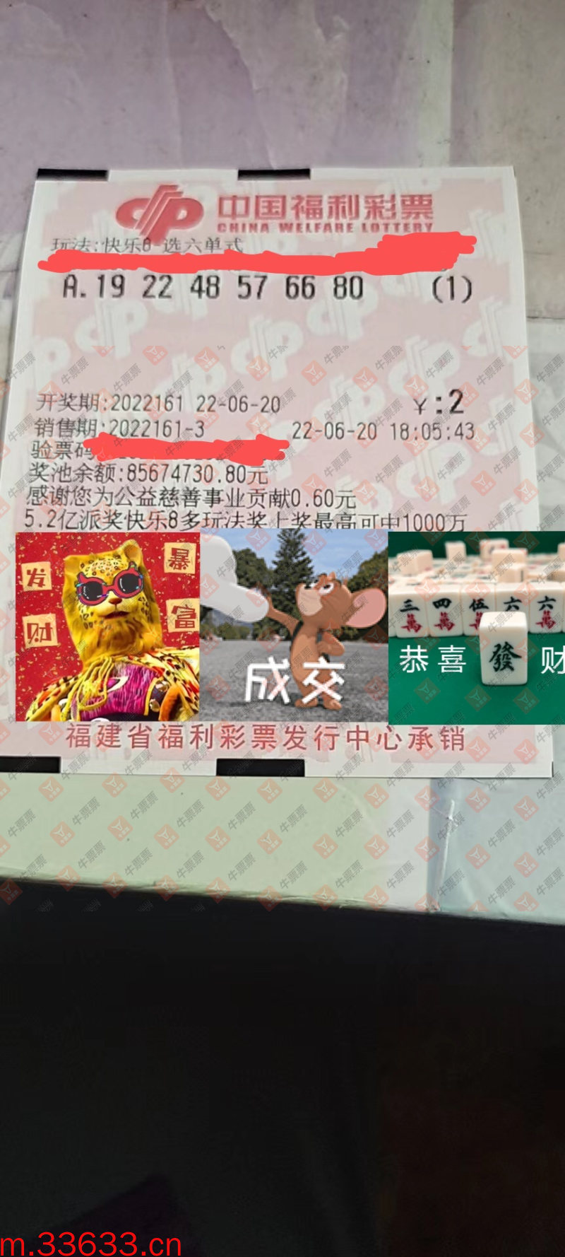 牛票票