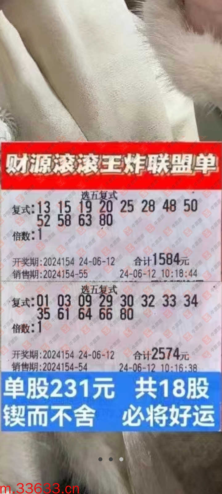 牛票票