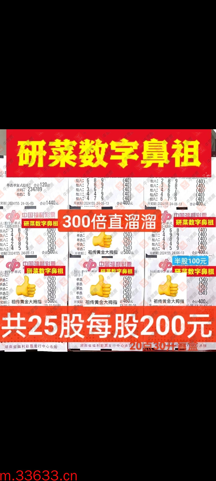 牛票票