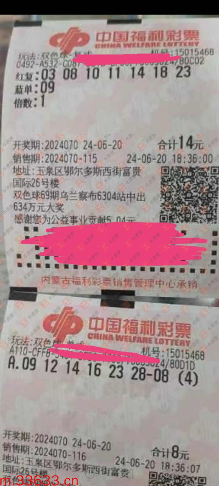 牛票票