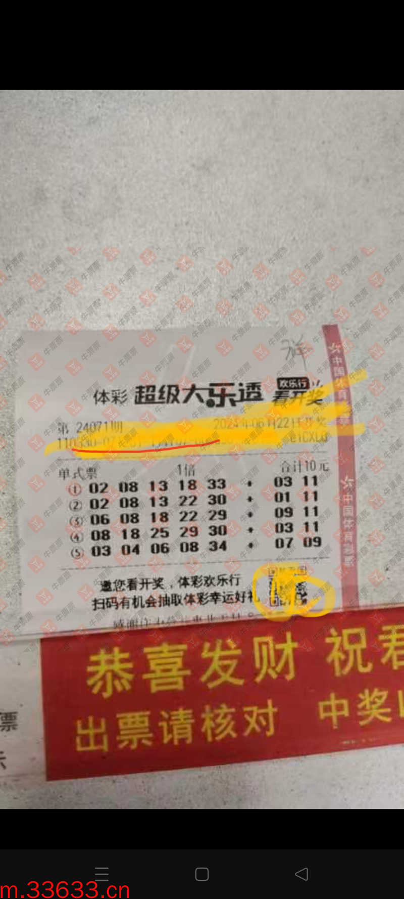 牛票票