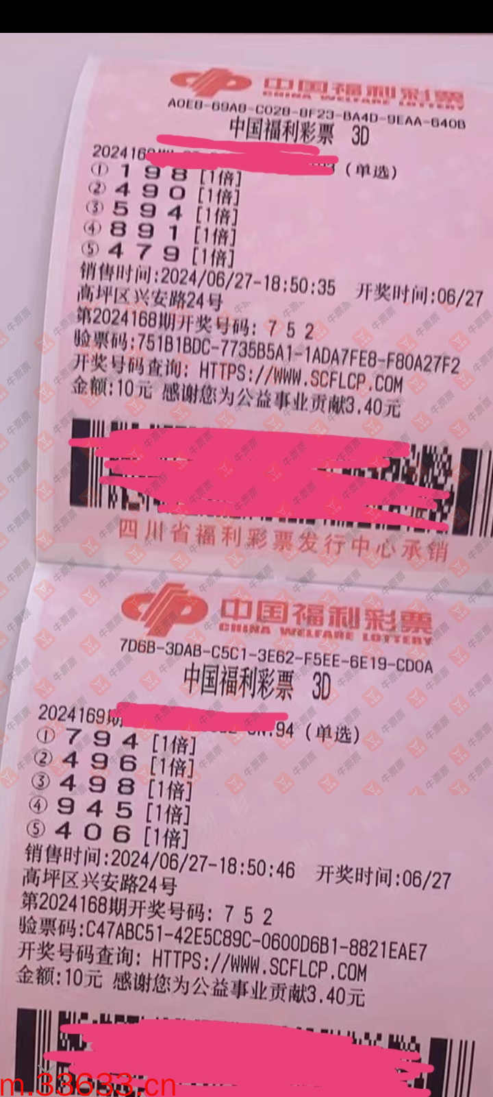 牛票票