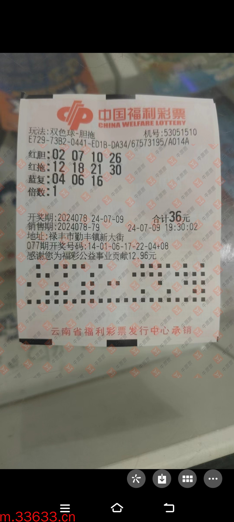 牛票票