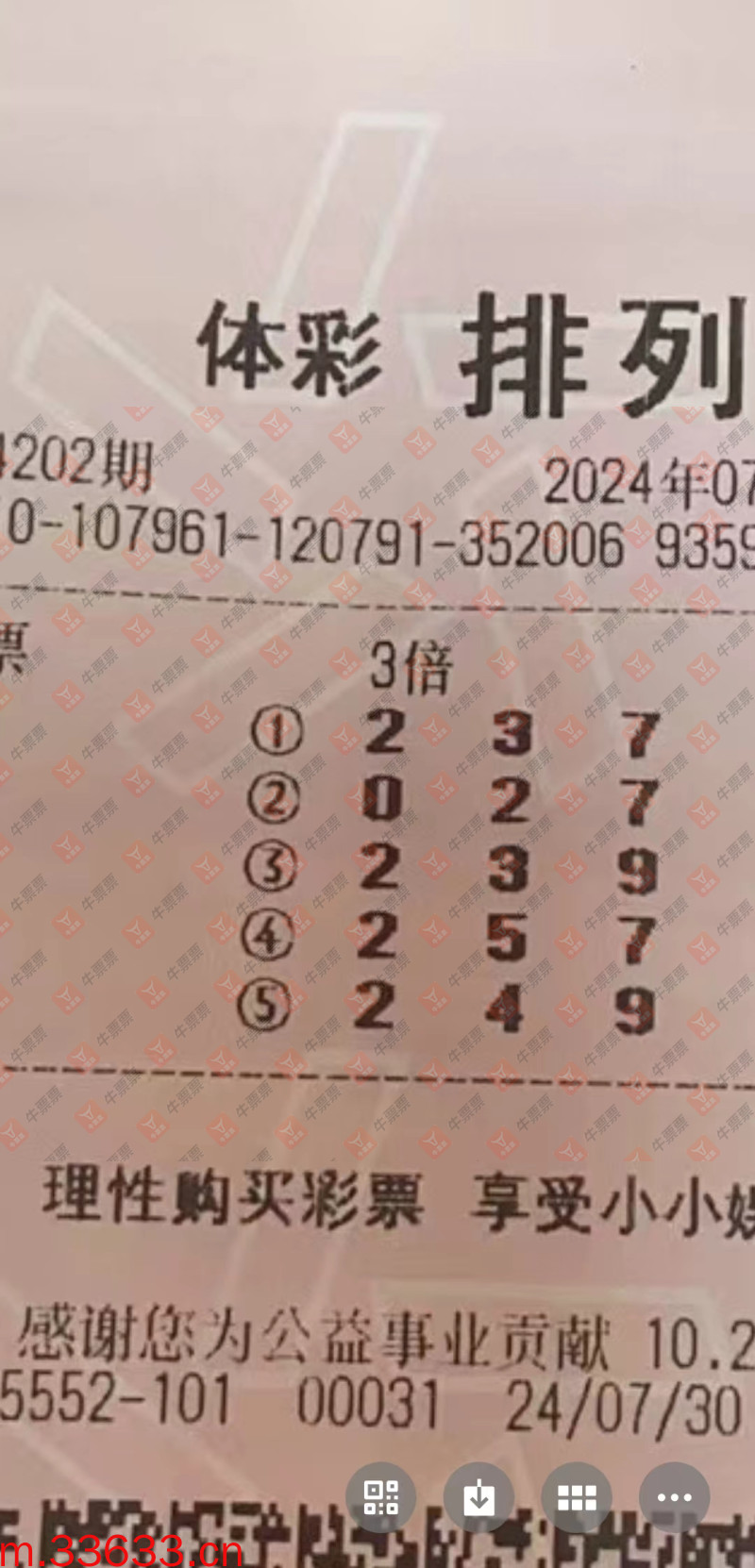 牛票票
