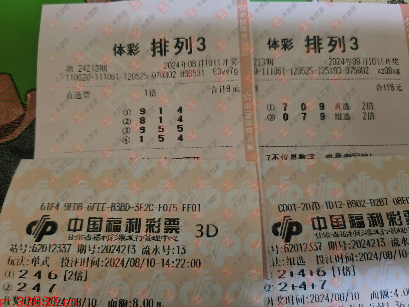 牛票票