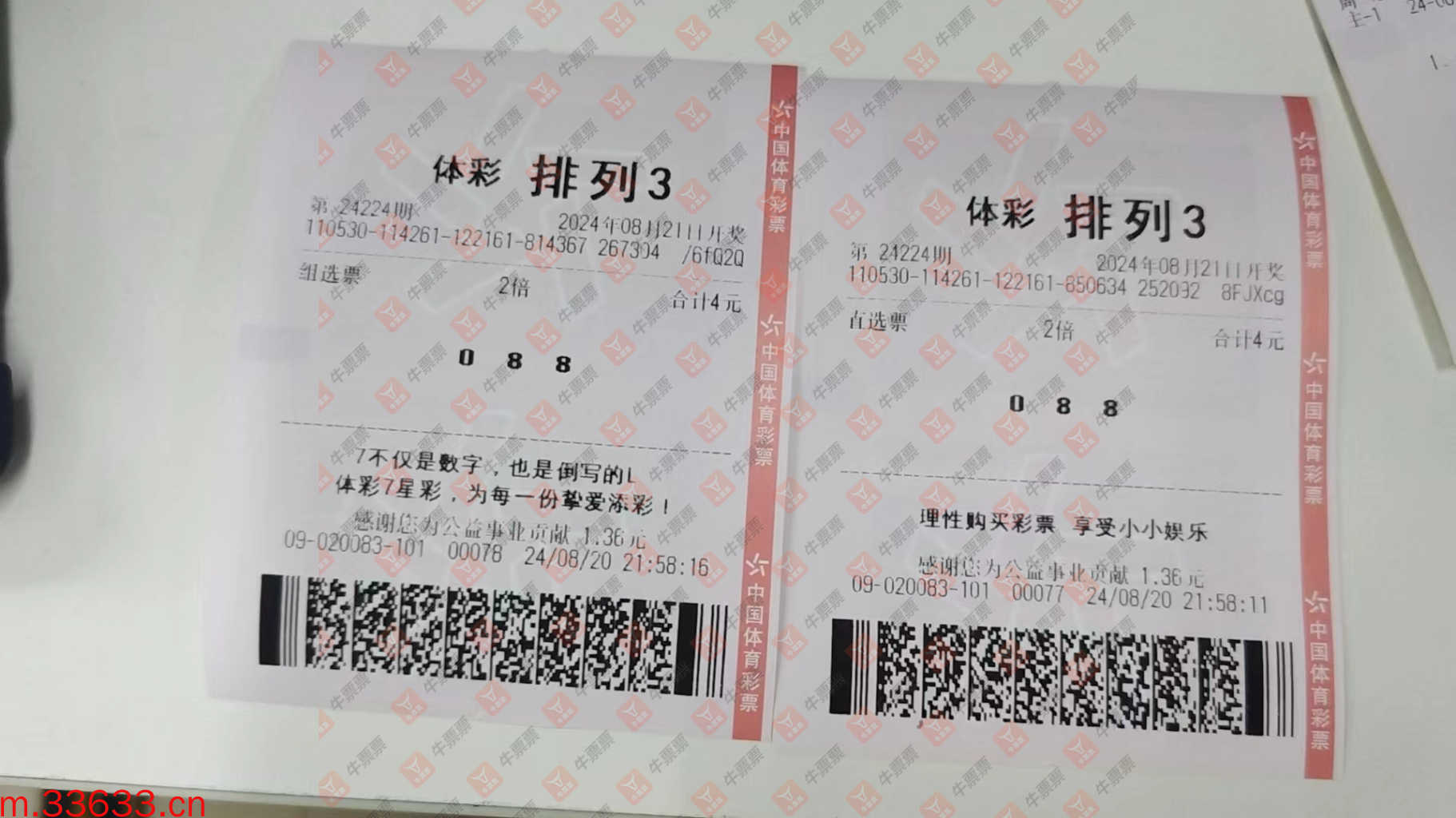 牛票票