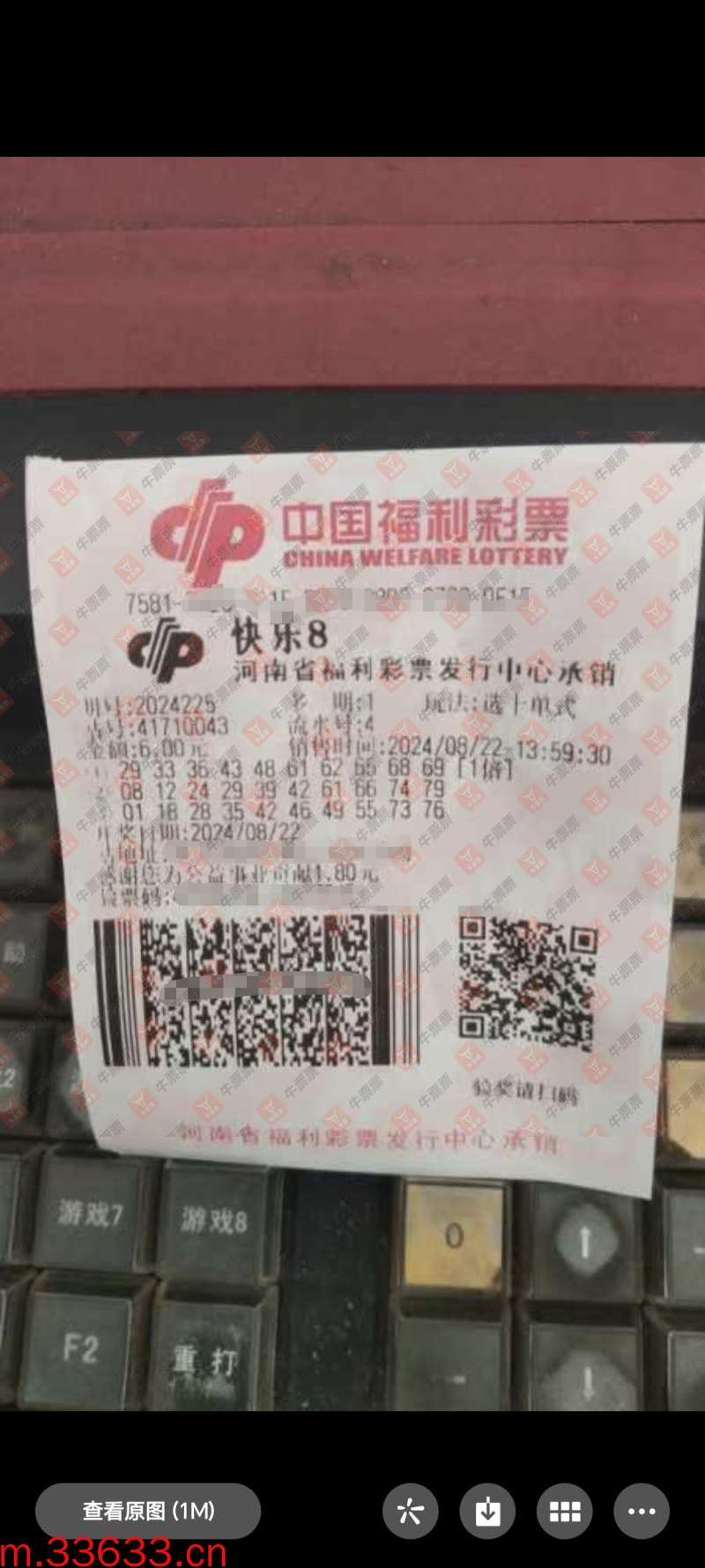 牛票票