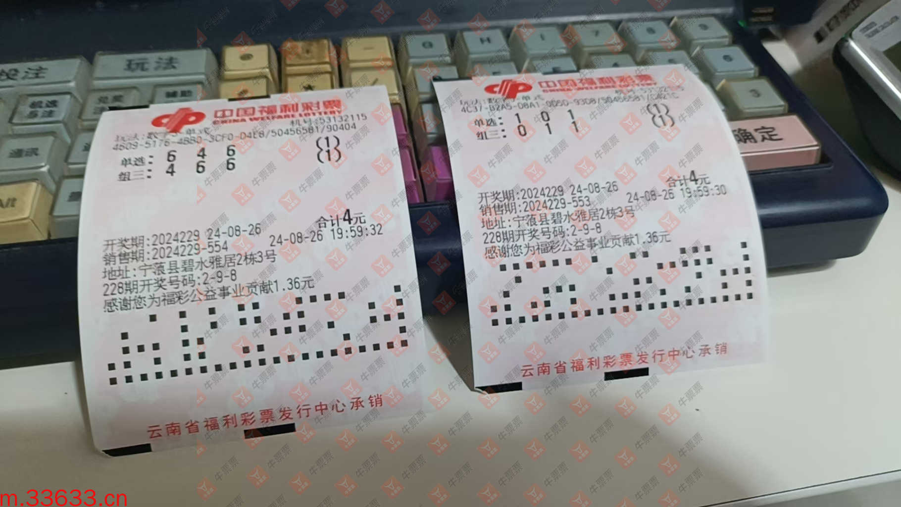 牛票票
