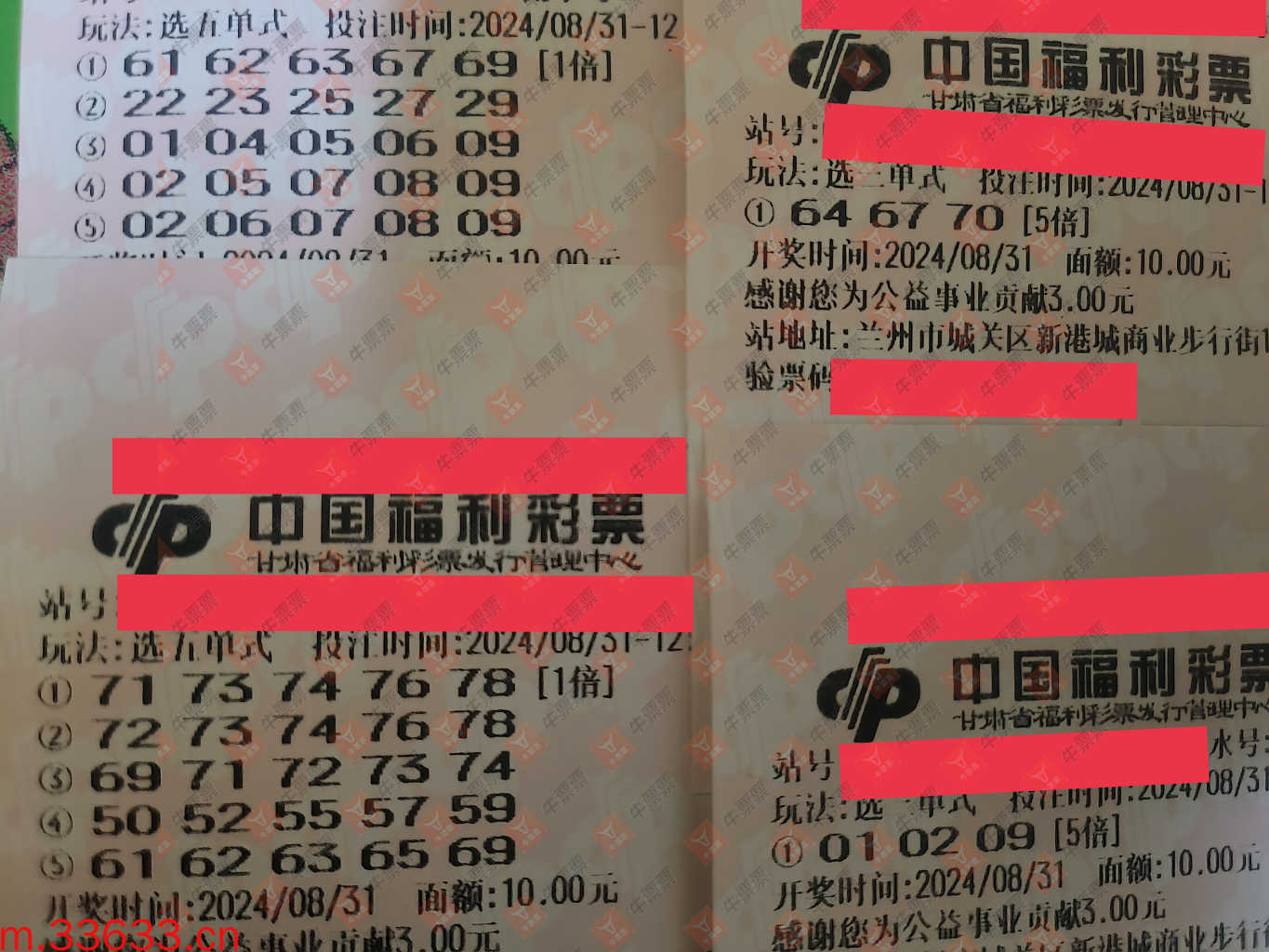 牛票票