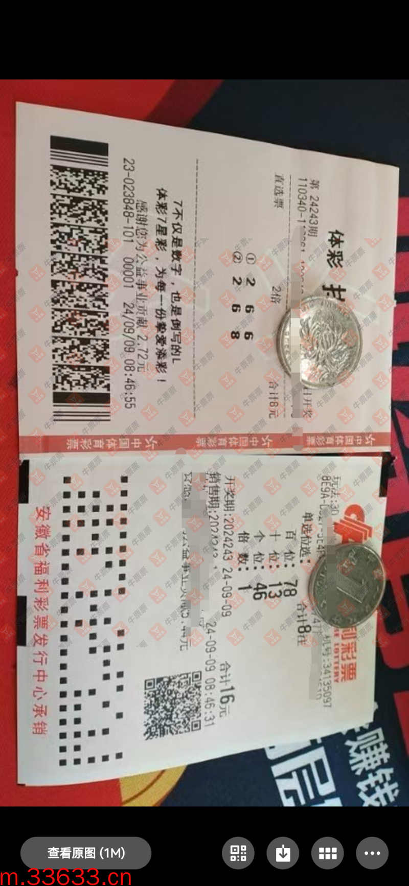 牛票票
