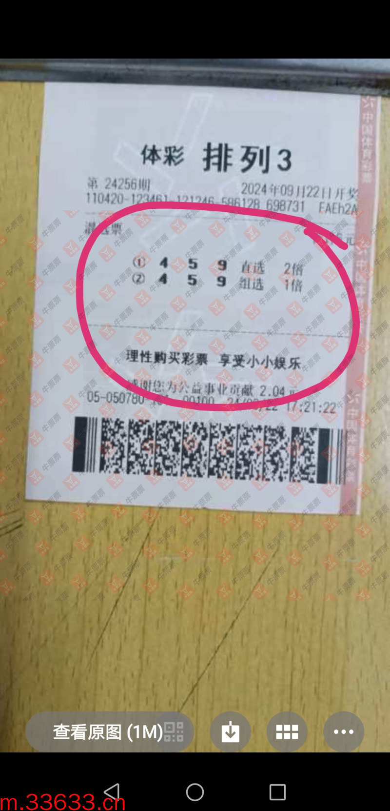 牛票票