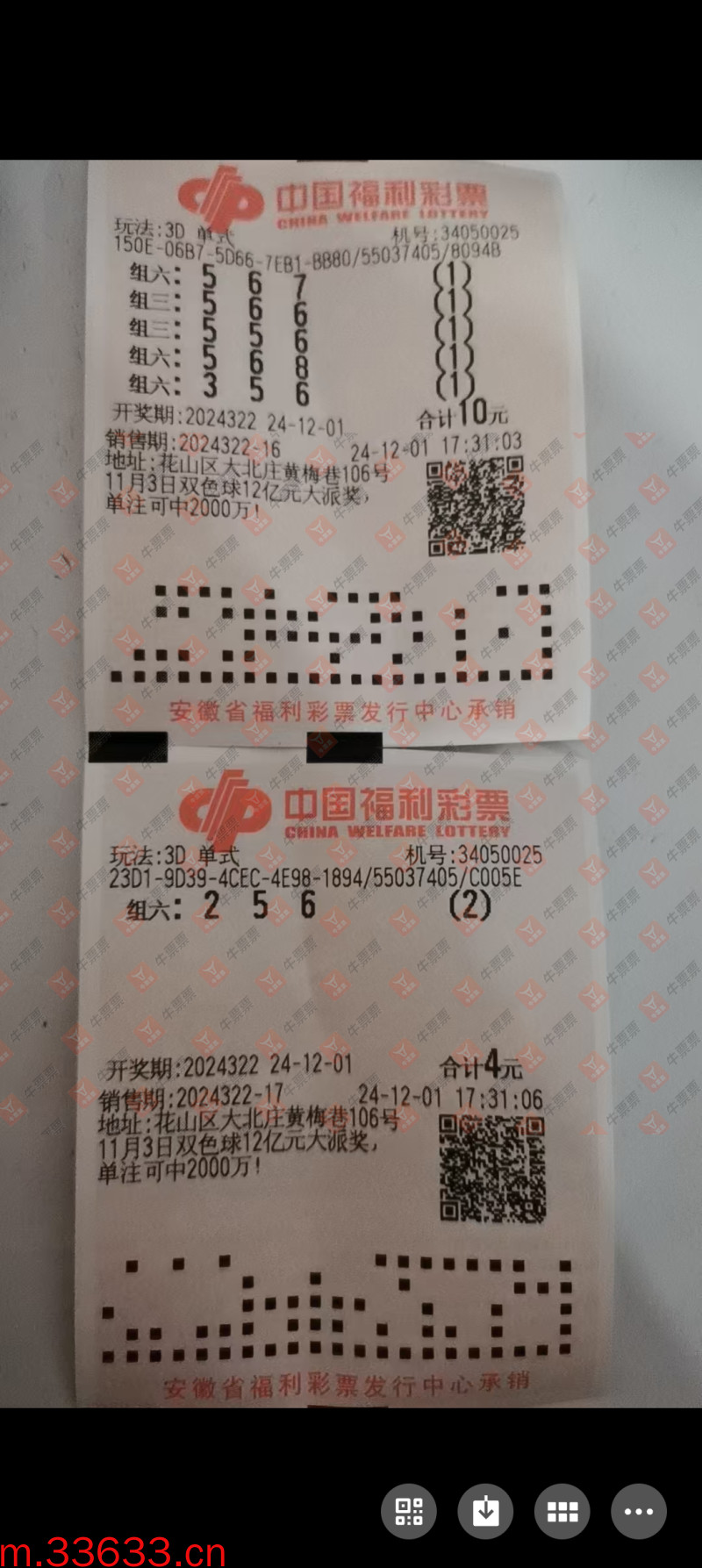 牛票票