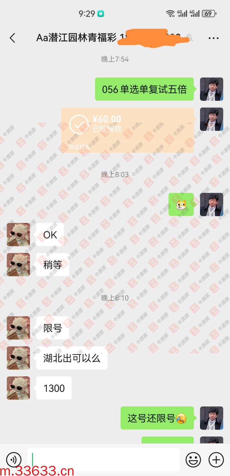 牛票票