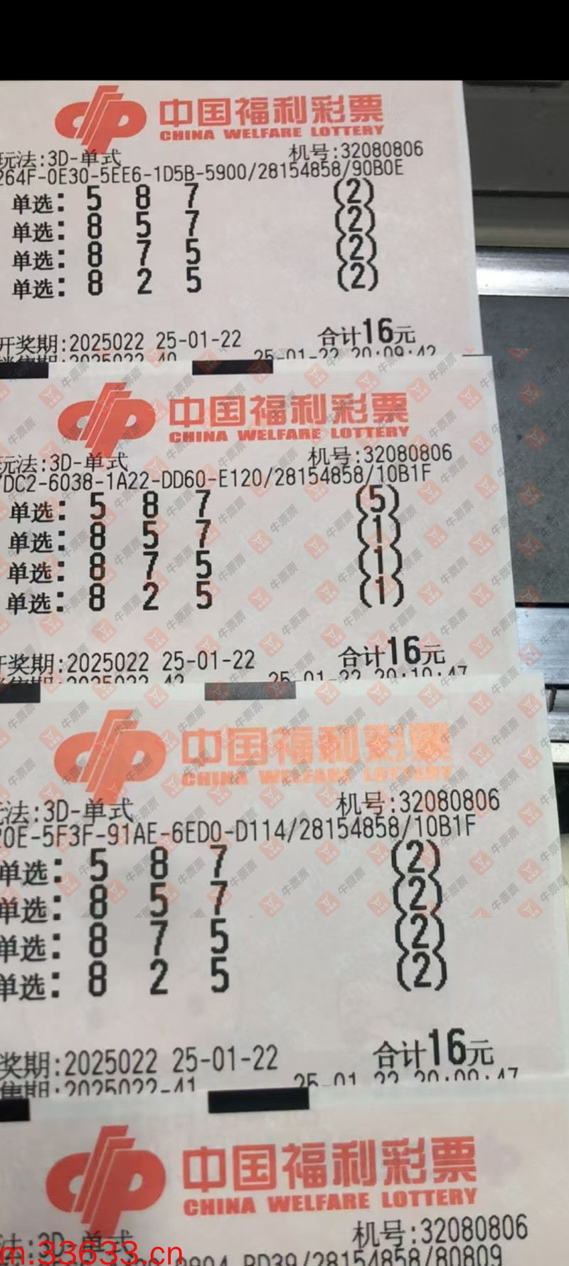 牛票票