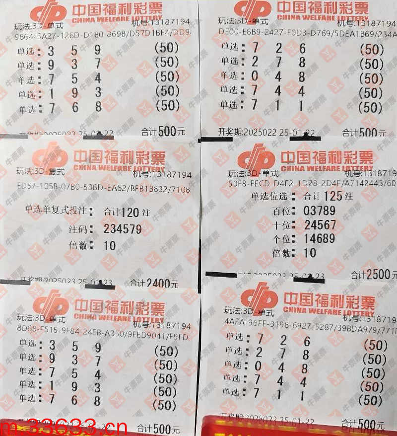 牛票票