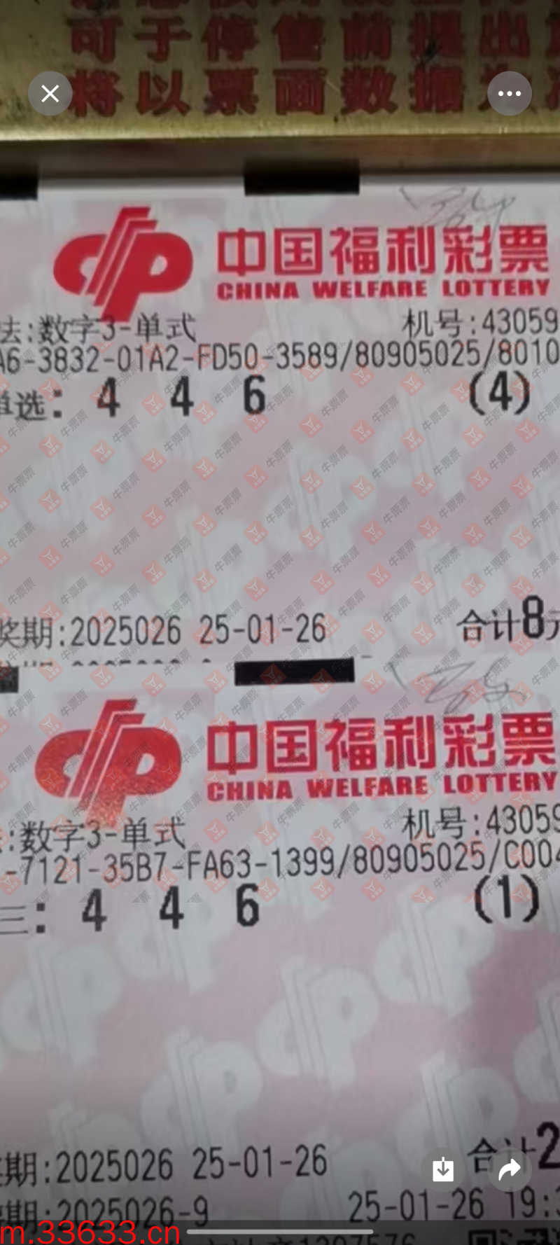 牛票票