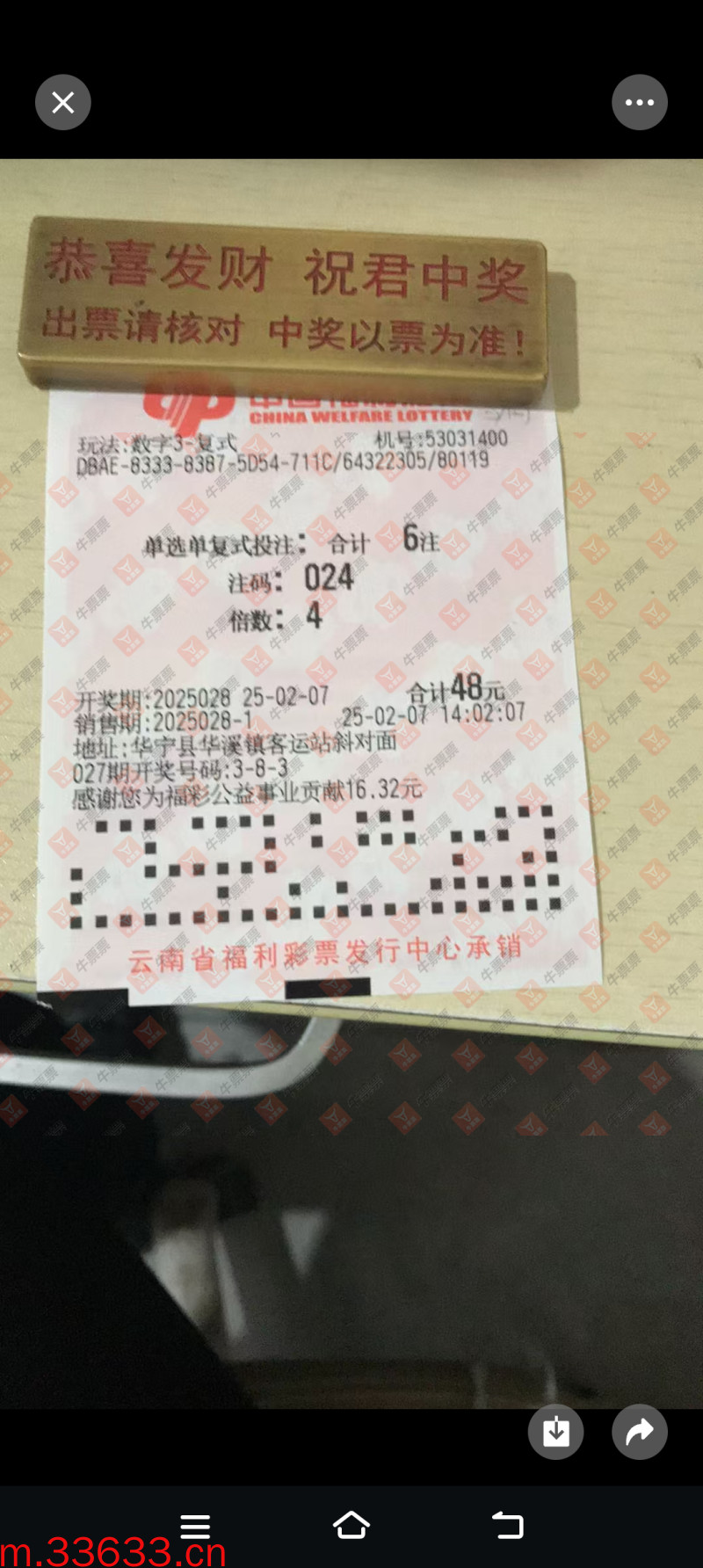 牛票票
