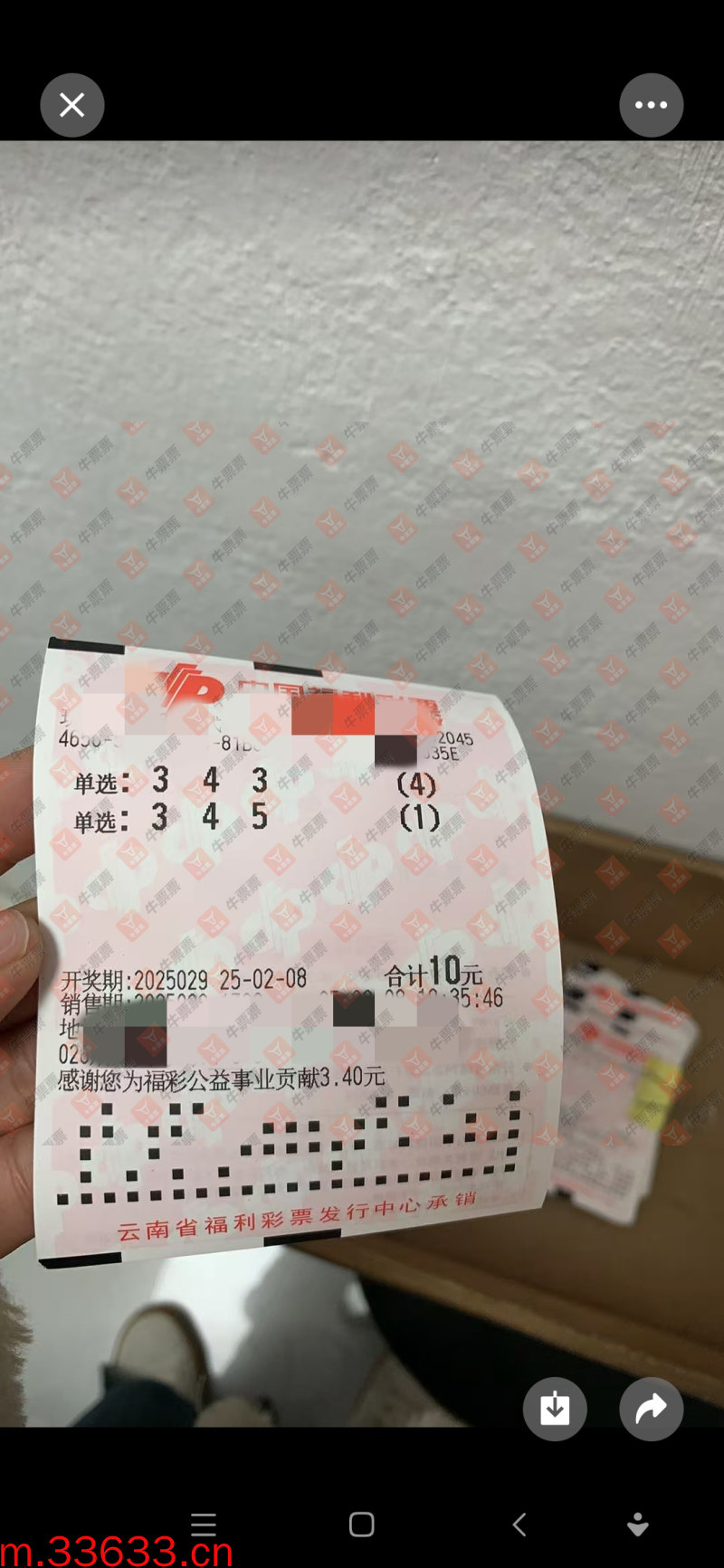 牛票票