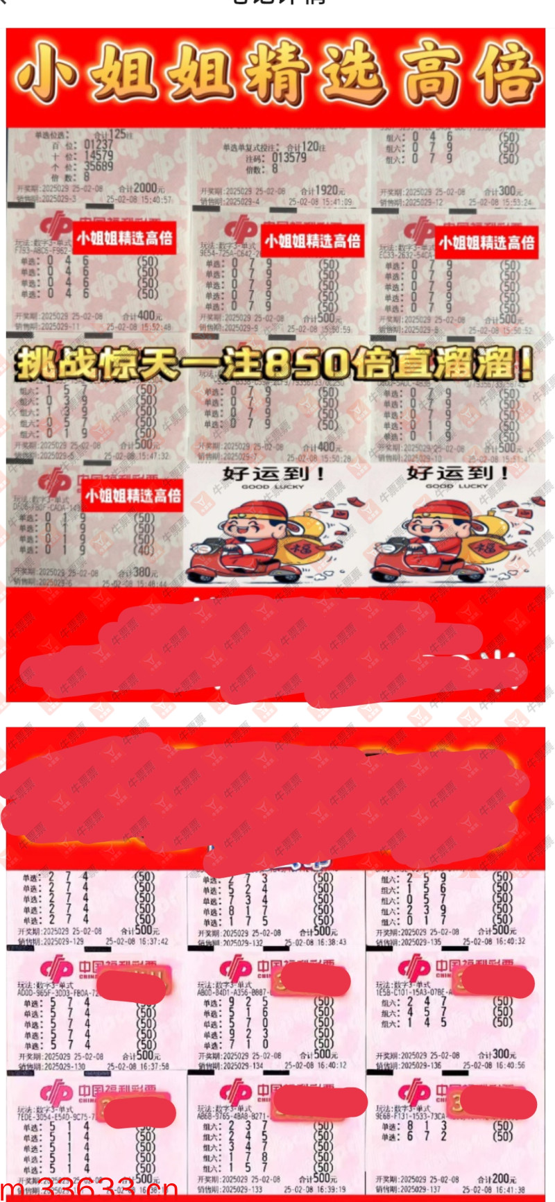 牛票票
