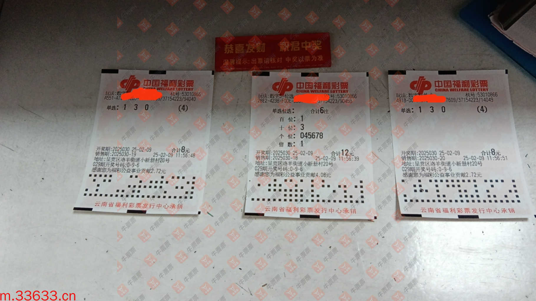 牛票票