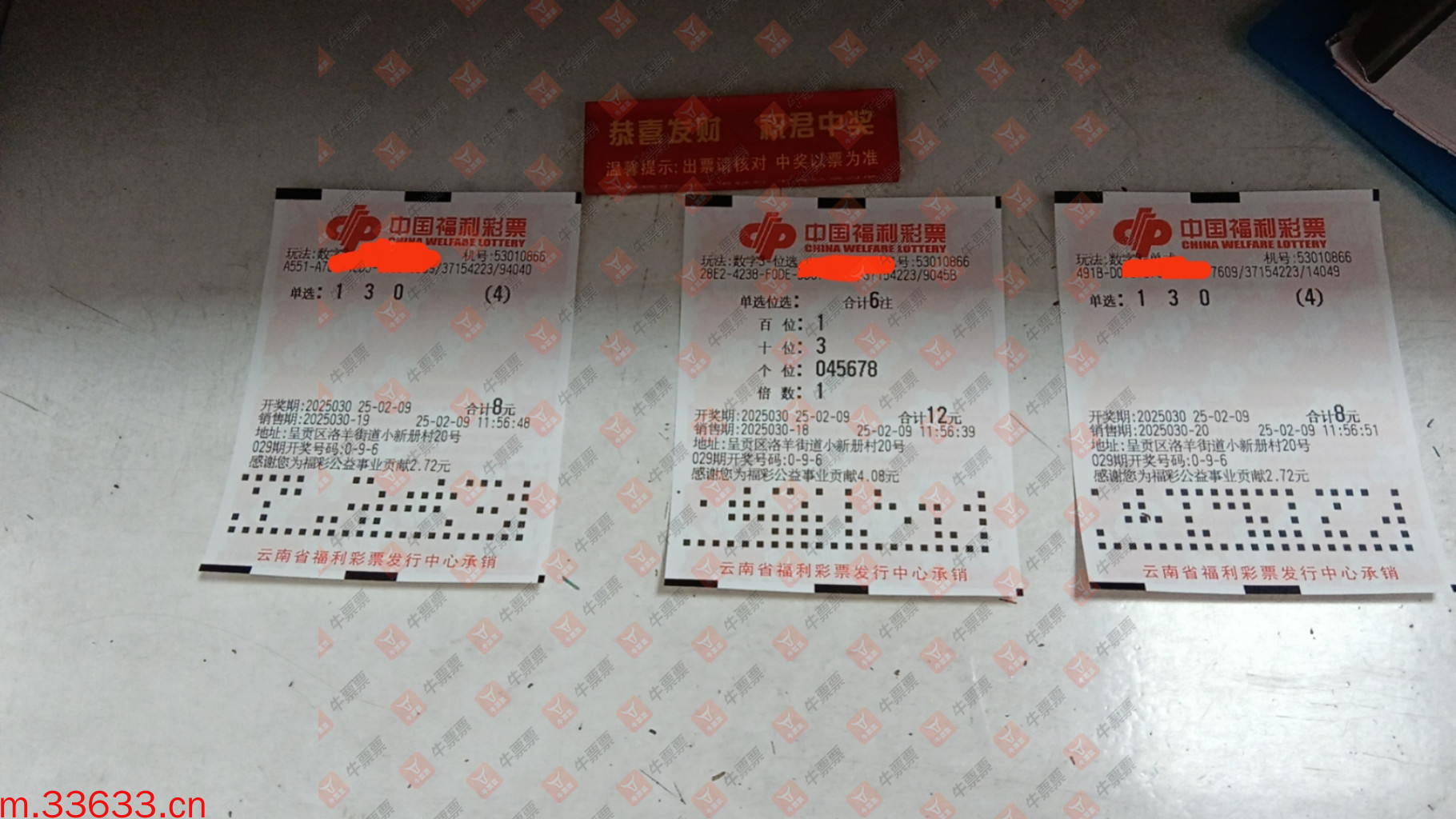牛票票