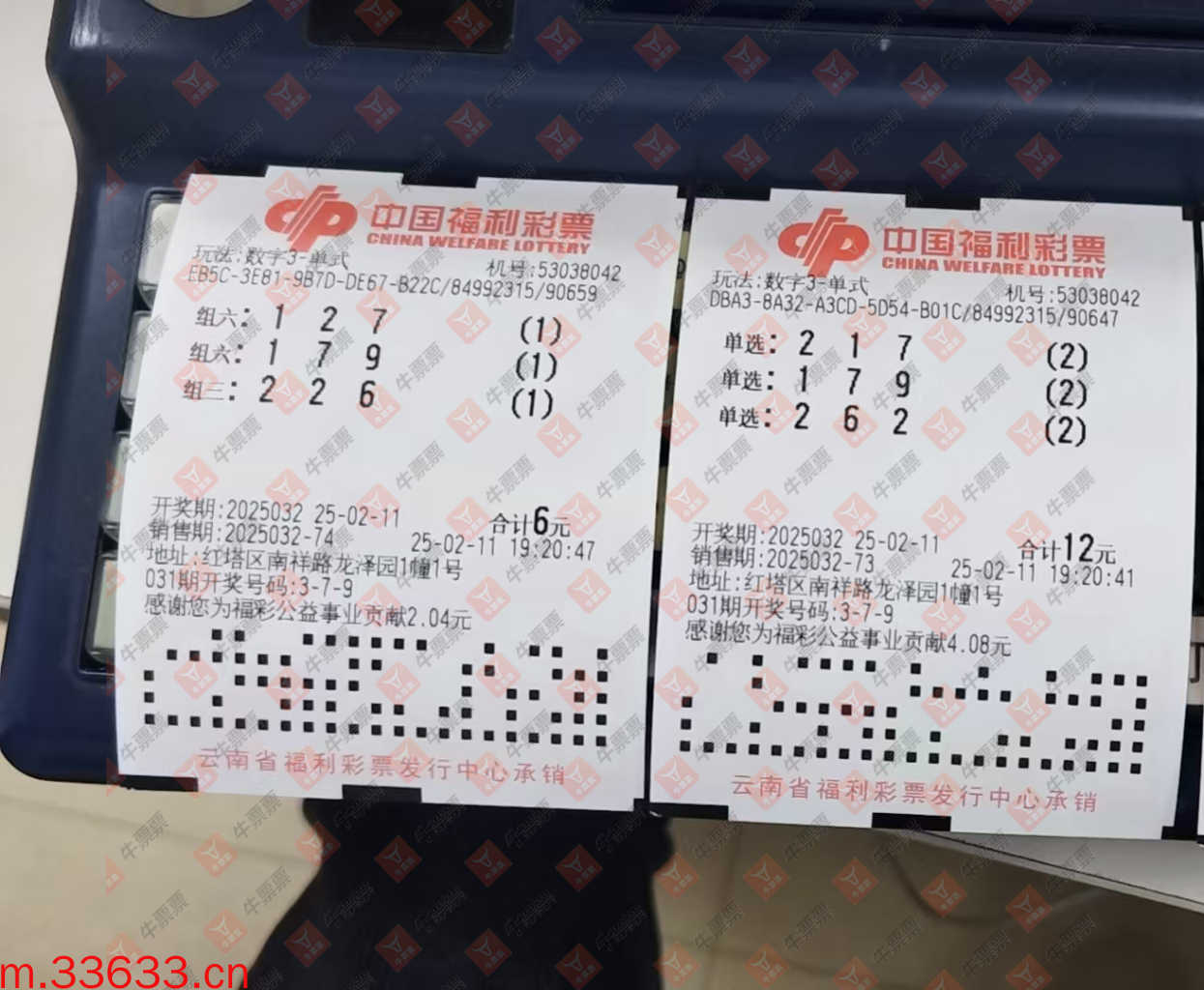 牛票票