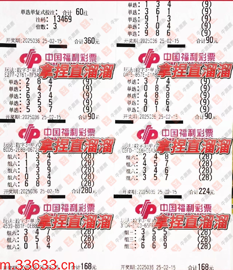 牛票票