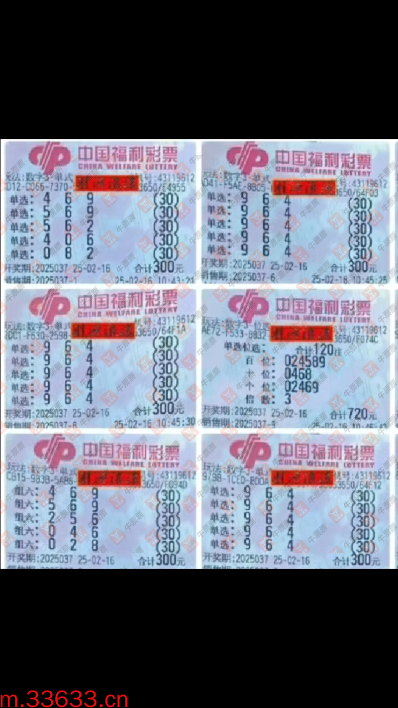 牛票票