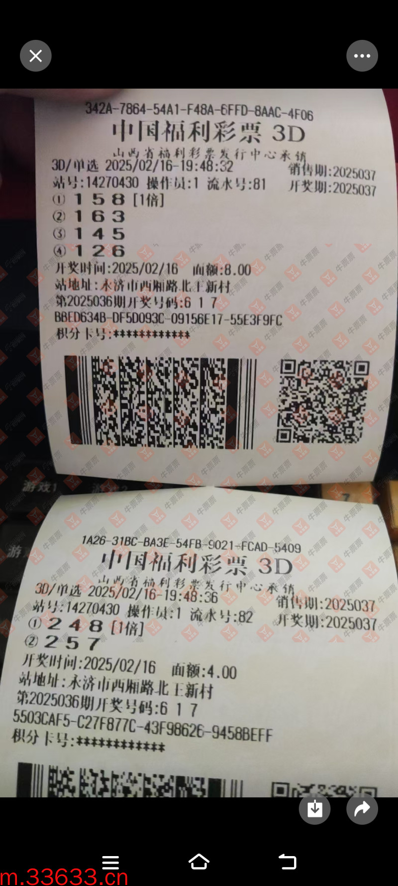 牛票票