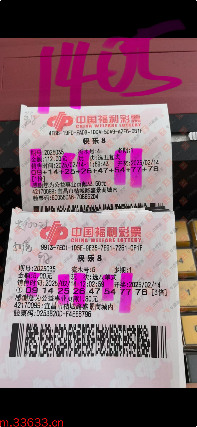 牛票票