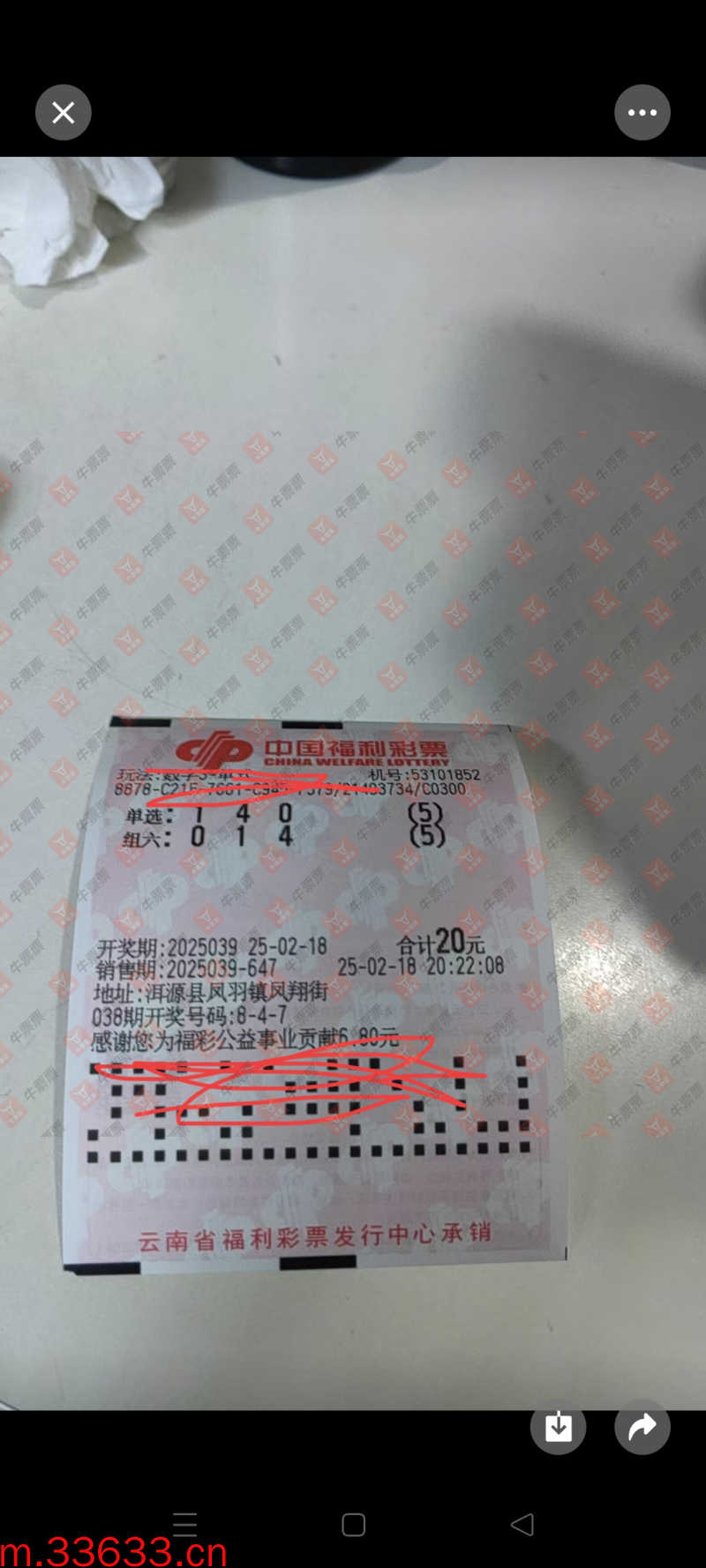 牛票票