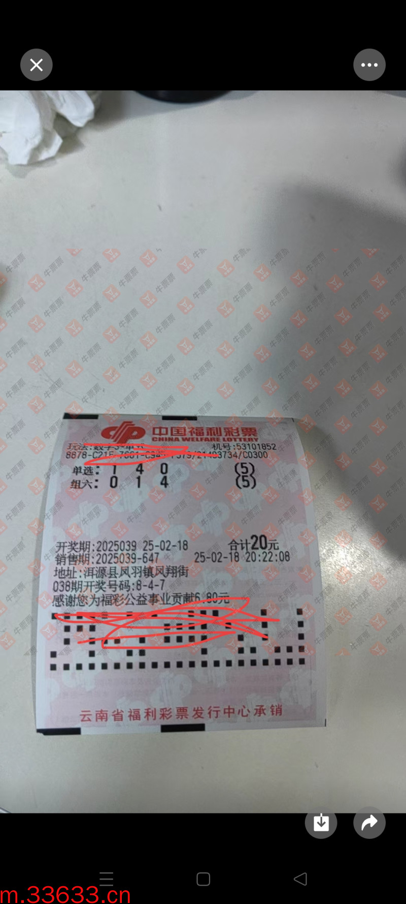 牛票票