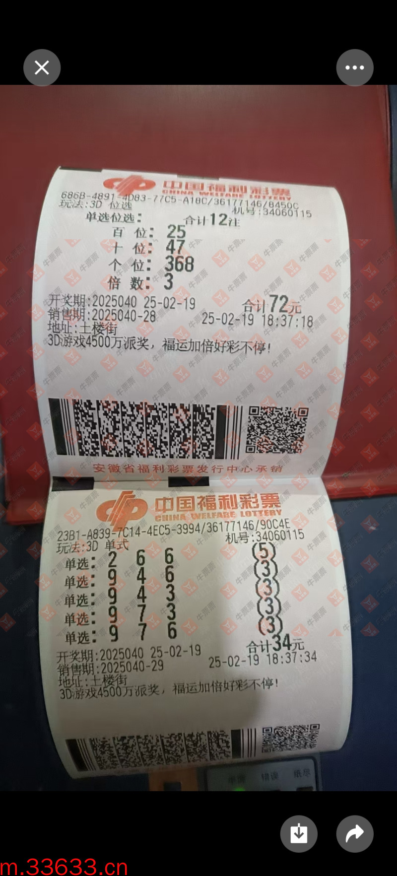 牛票票
