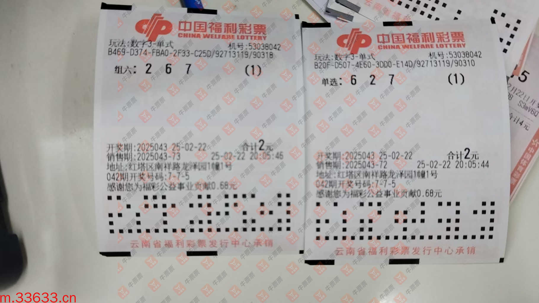 牛票票