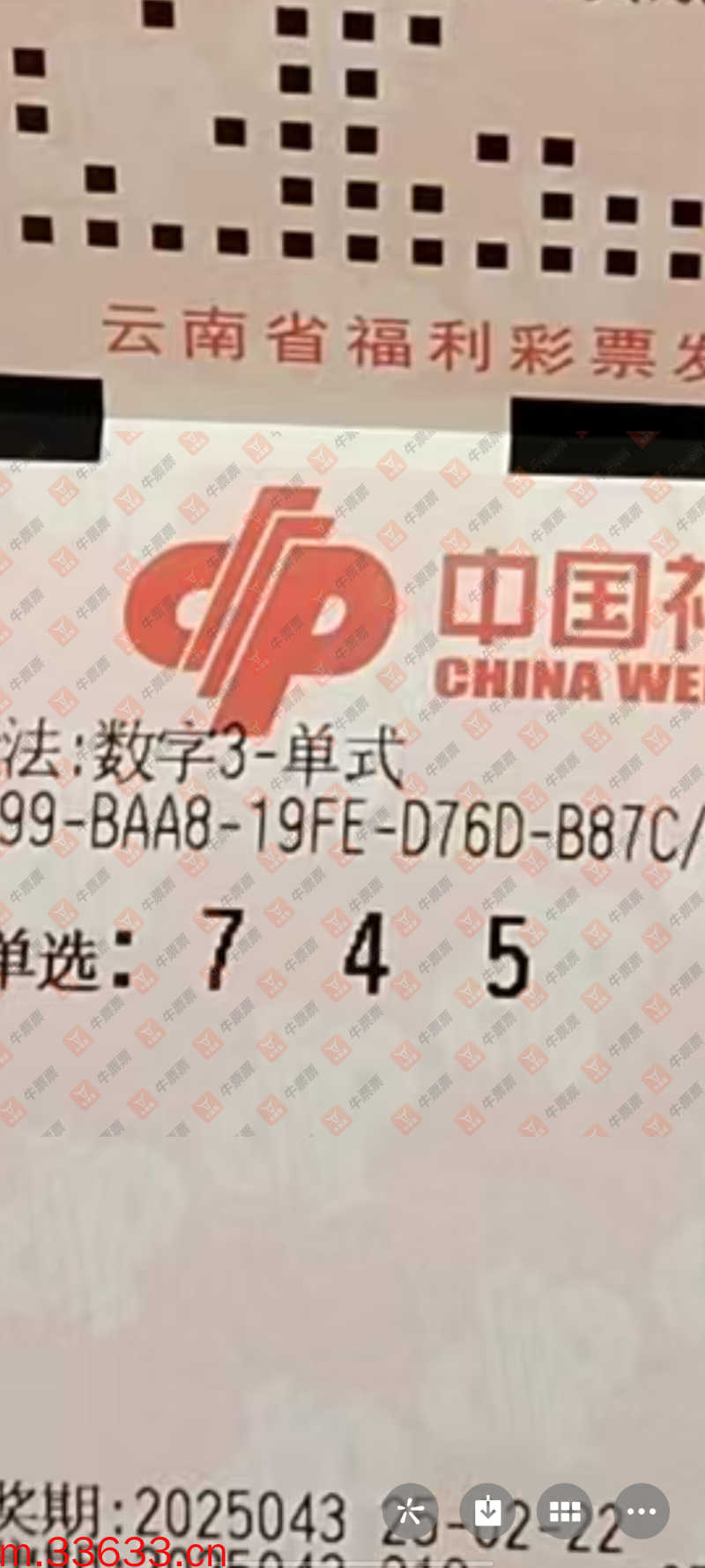 牛票票