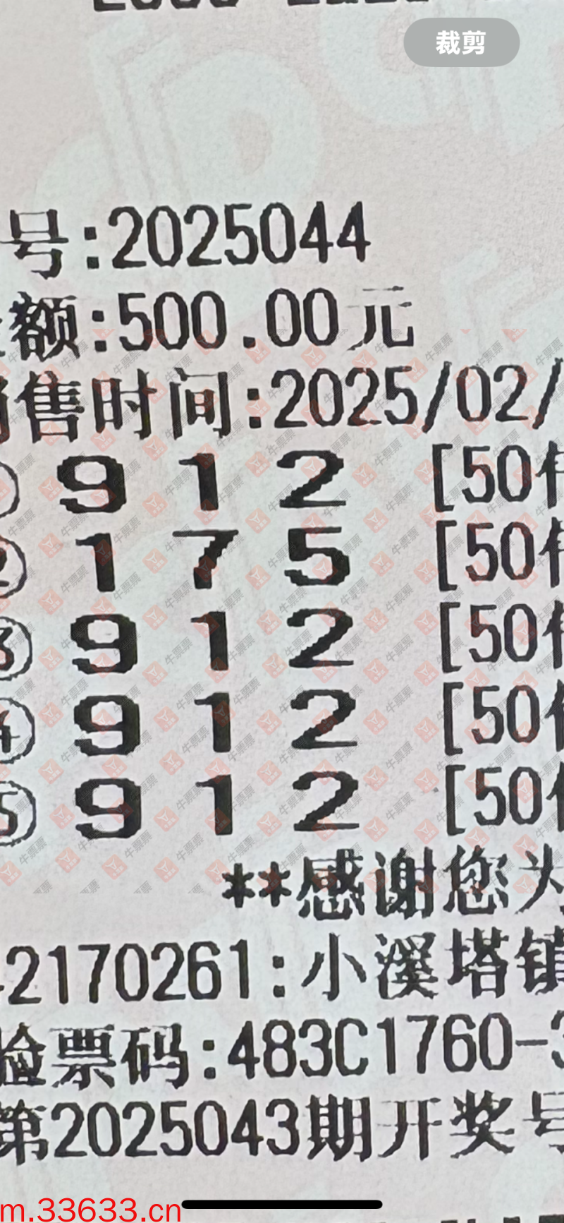 牛票票