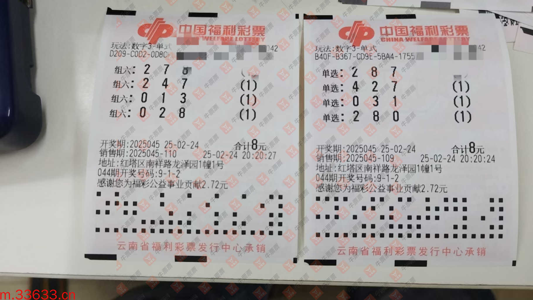 牛票票