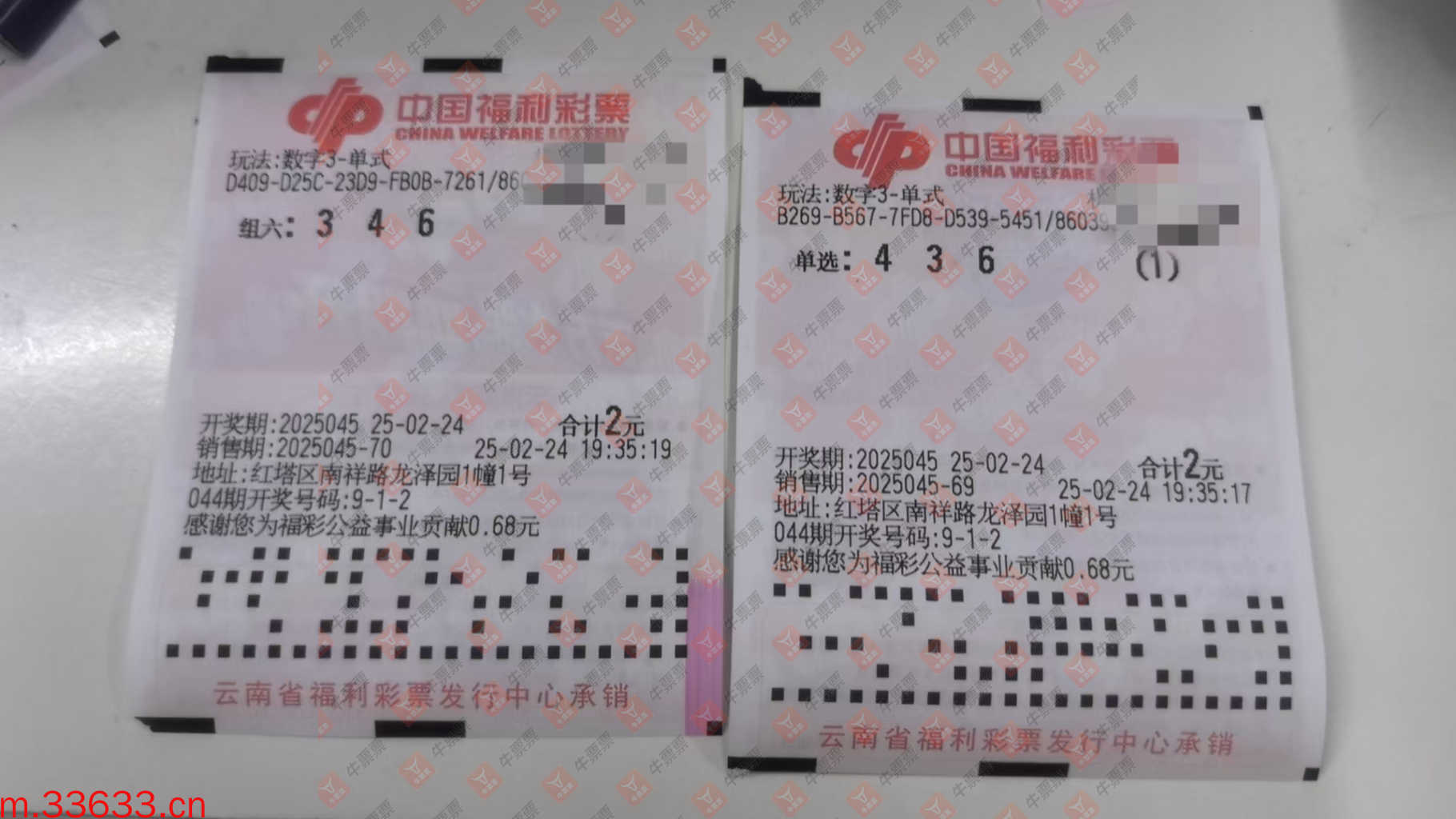 牛票票
