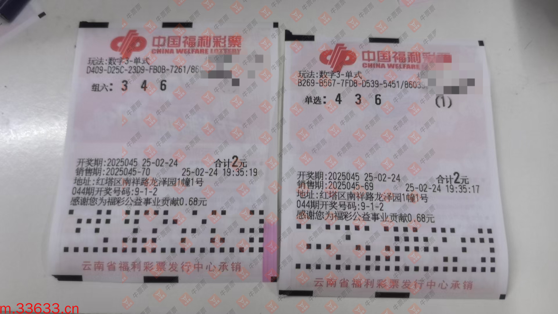牛票票