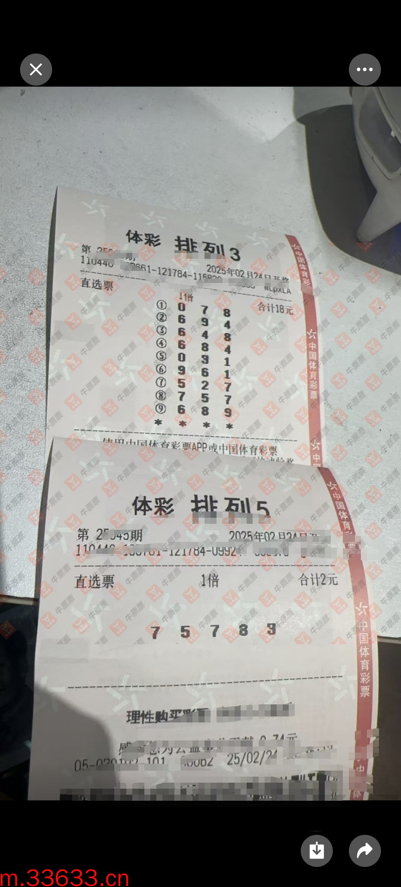 牛票票