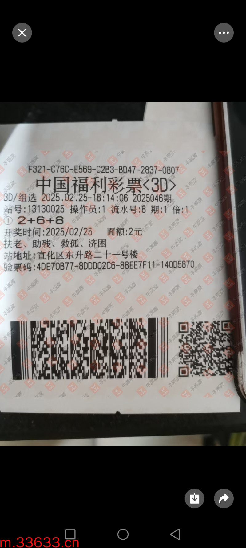 牛票票