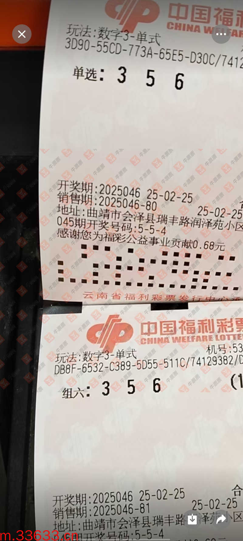 牛票票
