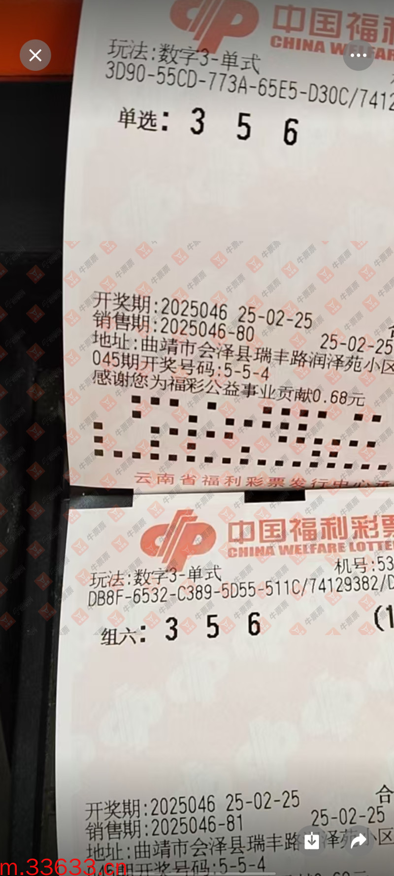 牛票票