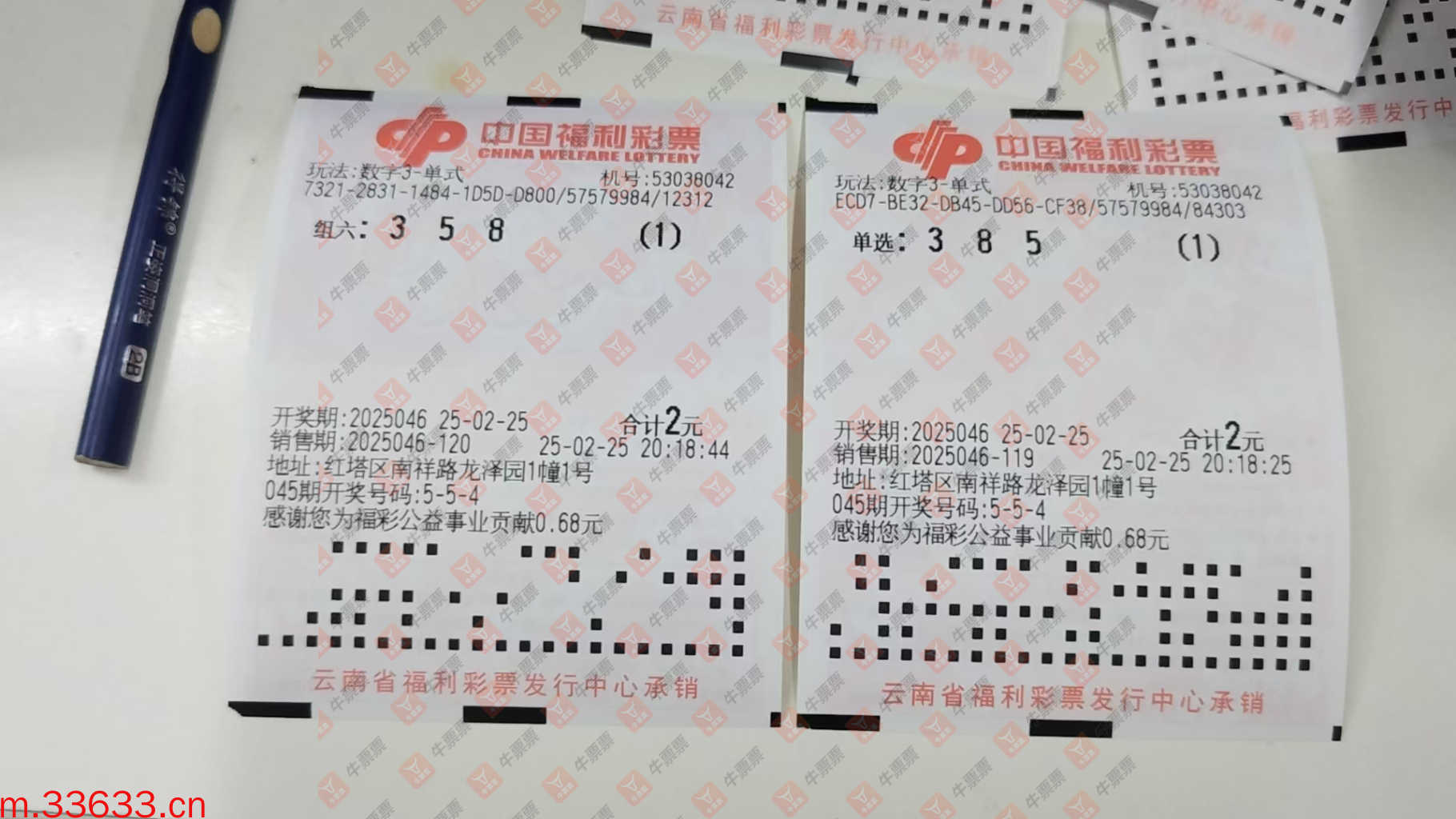 牛票票