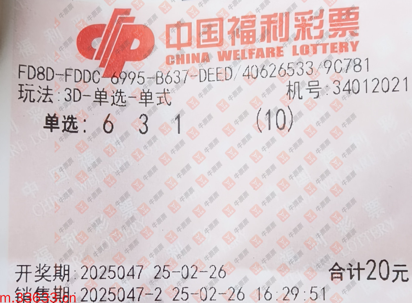 牛票票