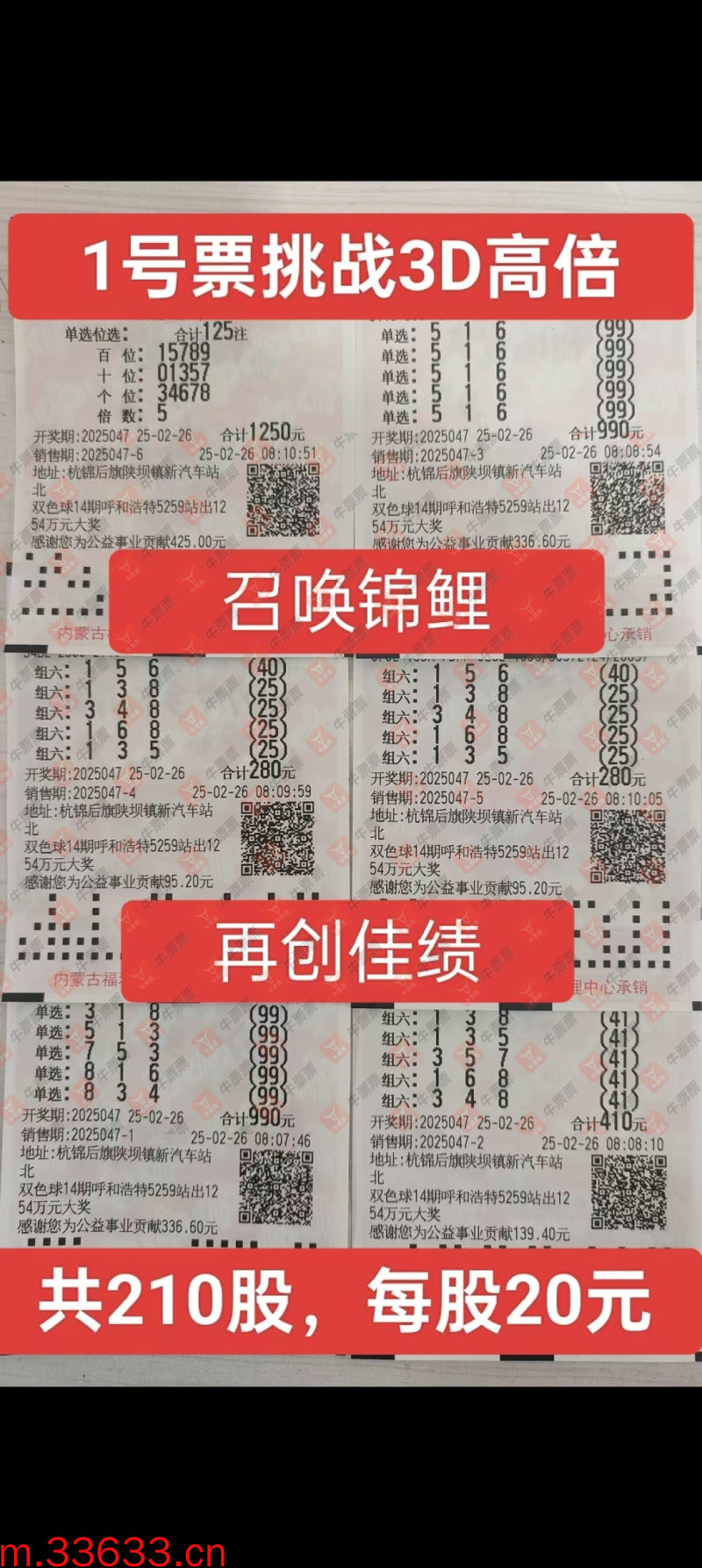 牛票票