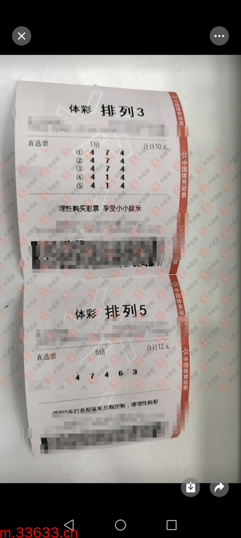 牛票票